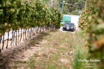 wedding in vineyard in Sardinia