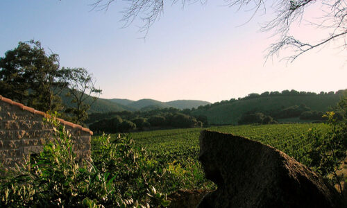 vineyard venue sardinia 1