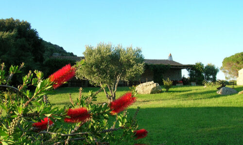 vineyard venue sardinia 2