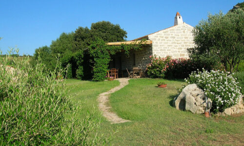 vineyard venue sardinia 3