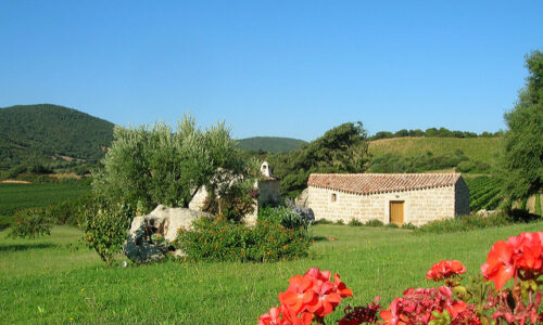 vineyard venue sardinia 5