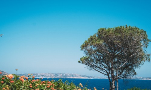 V&D beach wedding sardinia (1)