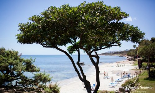 M&C beach wedding in Pula (1)