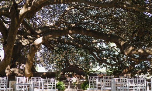 I&A - WEDDING SARDINIA IN VINEYARD (10)